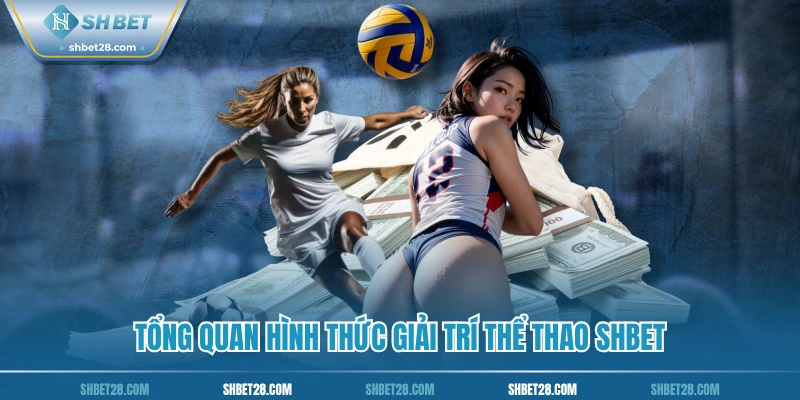 Tổng quan hình thức giải trí thể thao SHBET